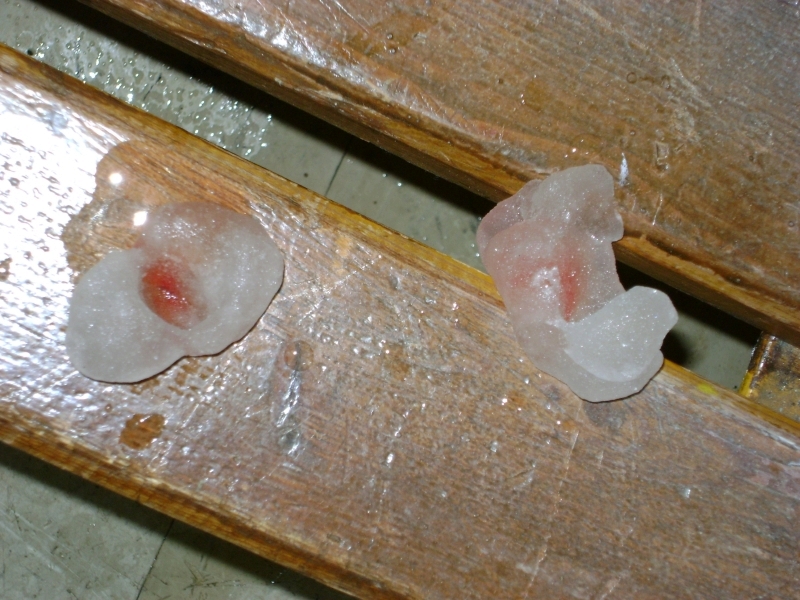 DSC02349